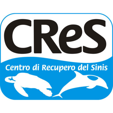 cres-sea-scout